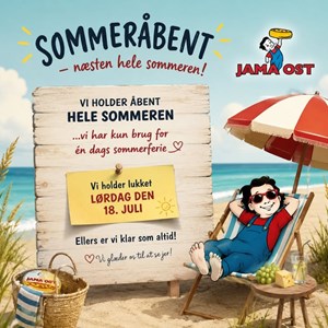 opslagsbillede