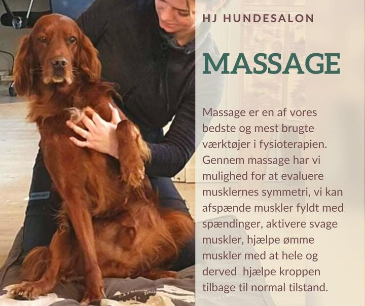 Opdatér dig her: Det nyeste fra Sæby