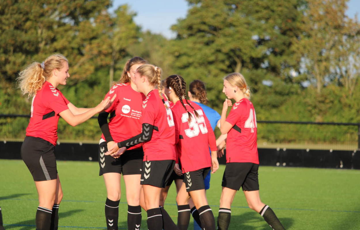 Gemmer og Schütt gik forrest i sublim FC Horsens-sejr