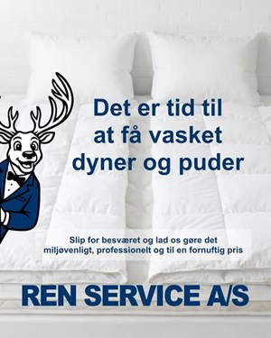 opslagsbillede
