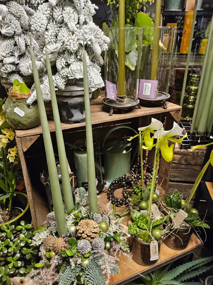 Flore Vida præsenterer julens blomster og dekorationer til enhver lejlighed