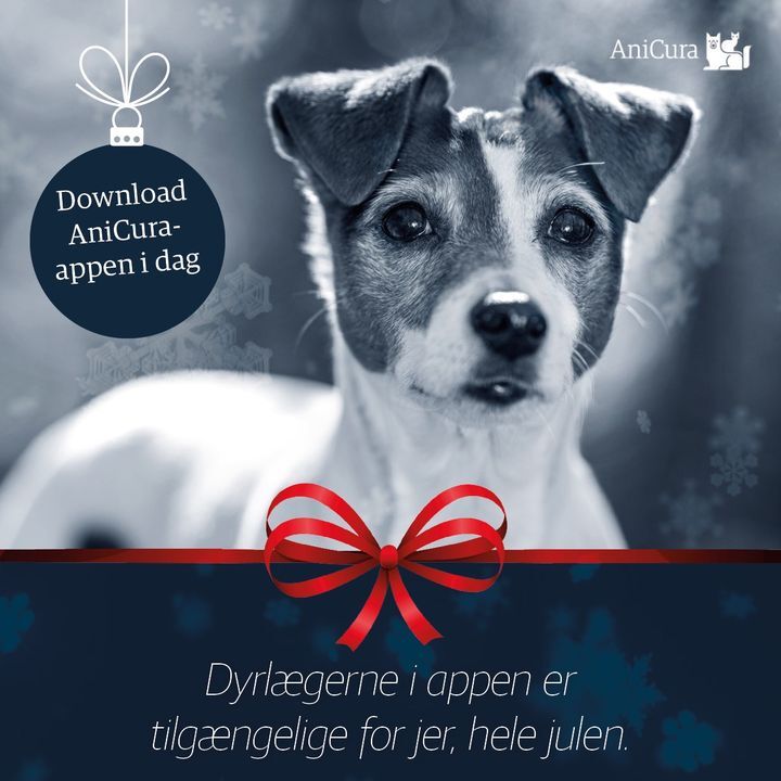 Opslagstavlen: Nyeste opdateringer fra Hjørring