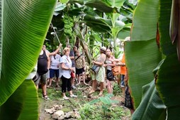 Nyt fra Ans Rejser A/S