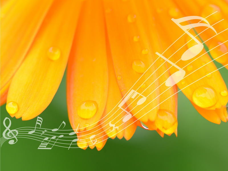 Start ugen med glad morgensang på Viborg Bibliotekerne