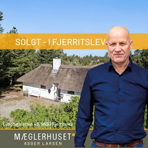 Opslagsbillede