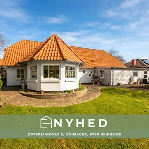 opslagsbillede