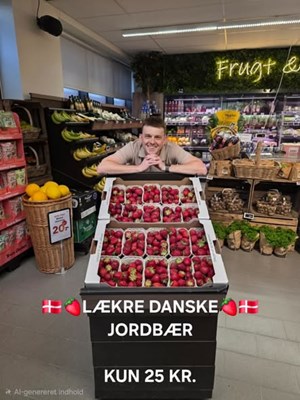 opslagsbillede
