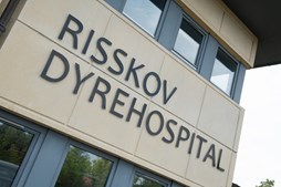 Åbent hus på nystartede Risskov Dyrehospital