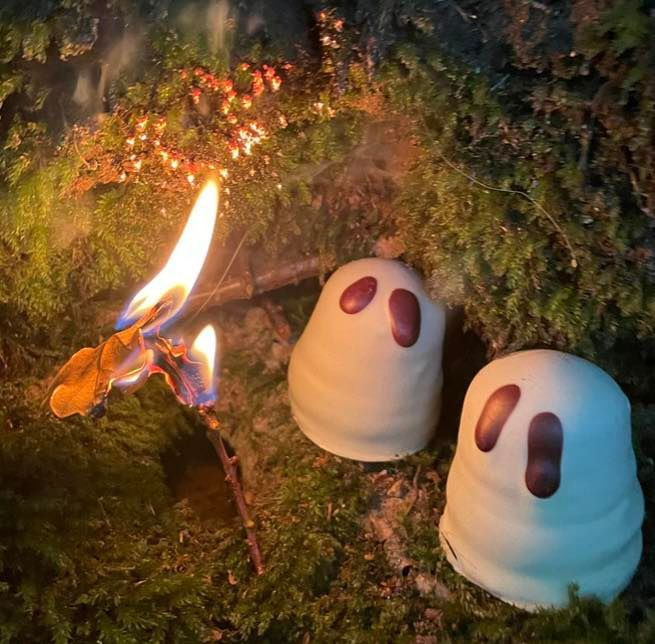 Wiiben inviterer til lækre flødeboller fra Summerbird i weekenden