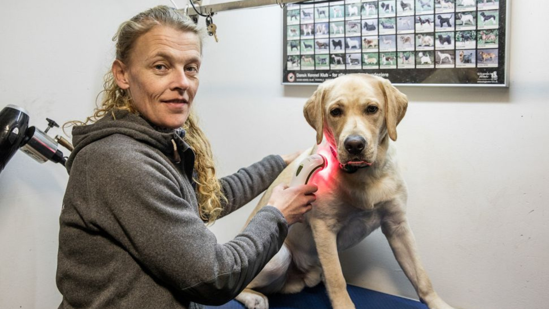 Besøg Camillas Dyrecenter i Struer: Her føler både du og dit kæledyr jer hjemme