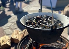 Oplev muslinger og tang ved Kulturladen i Løgstør