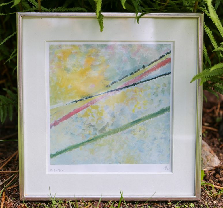 Opdatér dig her: Det nyeste fra Vejle