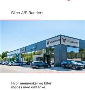 opslagsbillede
