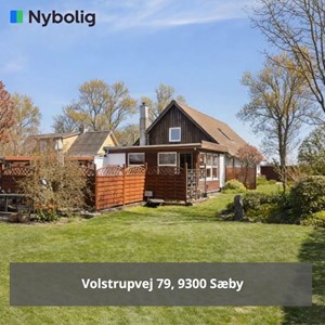 Opslagsbillede