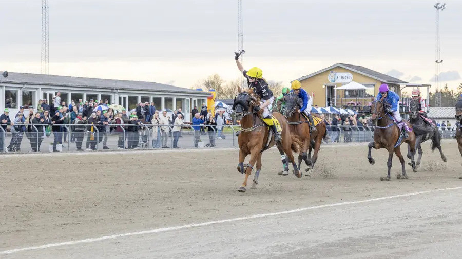 TRAV, VIN og TAPAS - En fredag på BIOCIRC TRAV ARENA Skive.