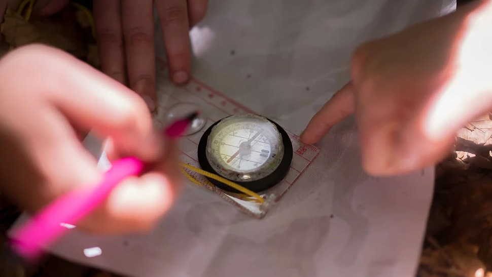 Udforsk Marselisborgskoven med orienteringsløb