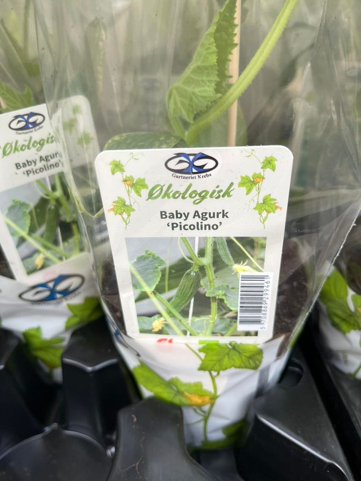 Nyt på opslagstavlen i Odder