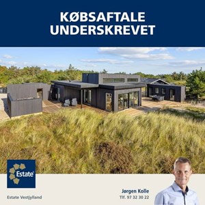 Opslagsbillede