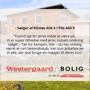 Opslagsbillede
