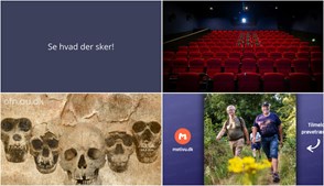 Begivenheder i Toftlund: Oplev Højtlæsning, Evolutionære Foredrag og Gåture