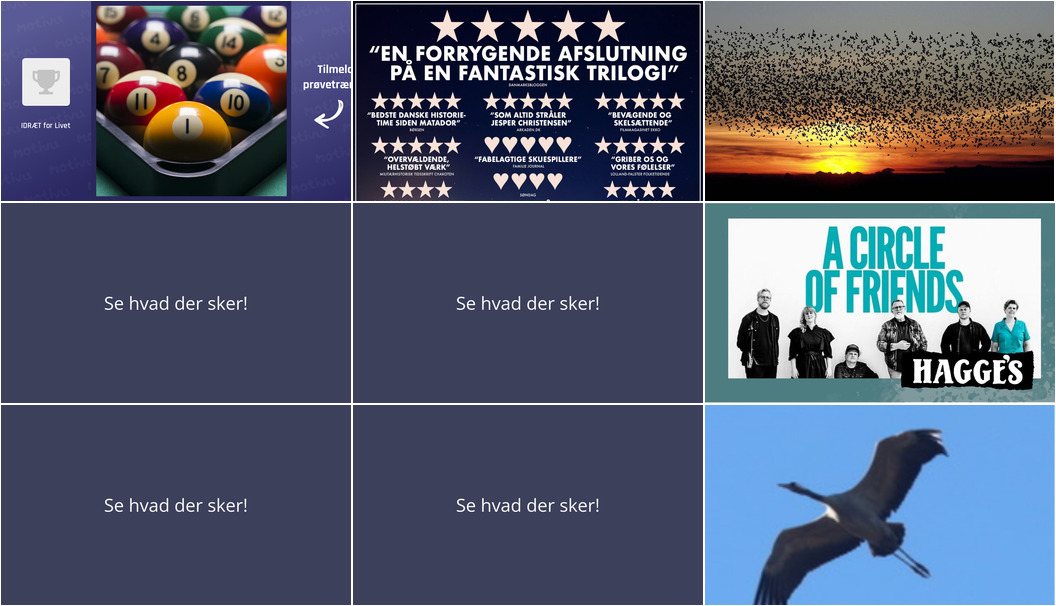 Oplev Tønder denne weekend: Fra hyggelig samvær til naturoplevelser