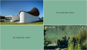 Strandby byder på bibelkursus og naturforedrag i den kommende uge