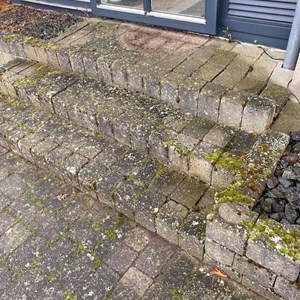 Opslagsbillede