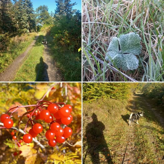 Fysioterapien Lund opfordrer til at holde kroppen i gang gennem vinteren