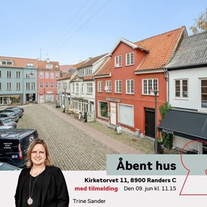Opslagsbillede