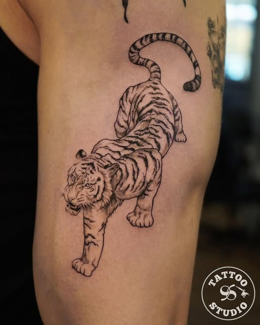 Tattoo Studio 96 fremviser tiger piece med intens attitude og energi