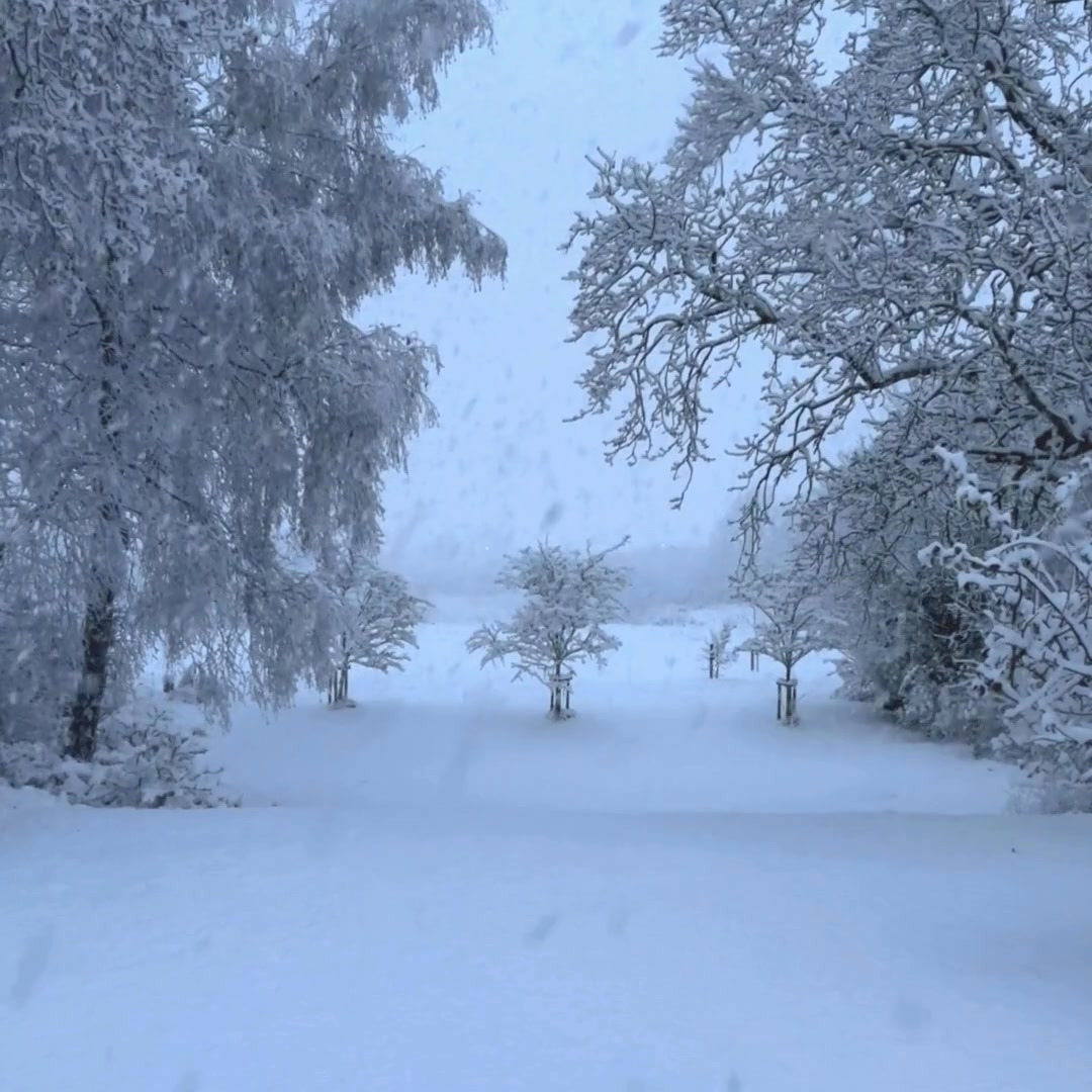 Cykelkram ApS: Gør din cykel vinterklar med disse tips inden frosten rammer