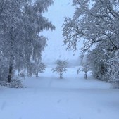 Er din elcykel vinterklar? Få tips til vedligehold hos Cykelkram ApS