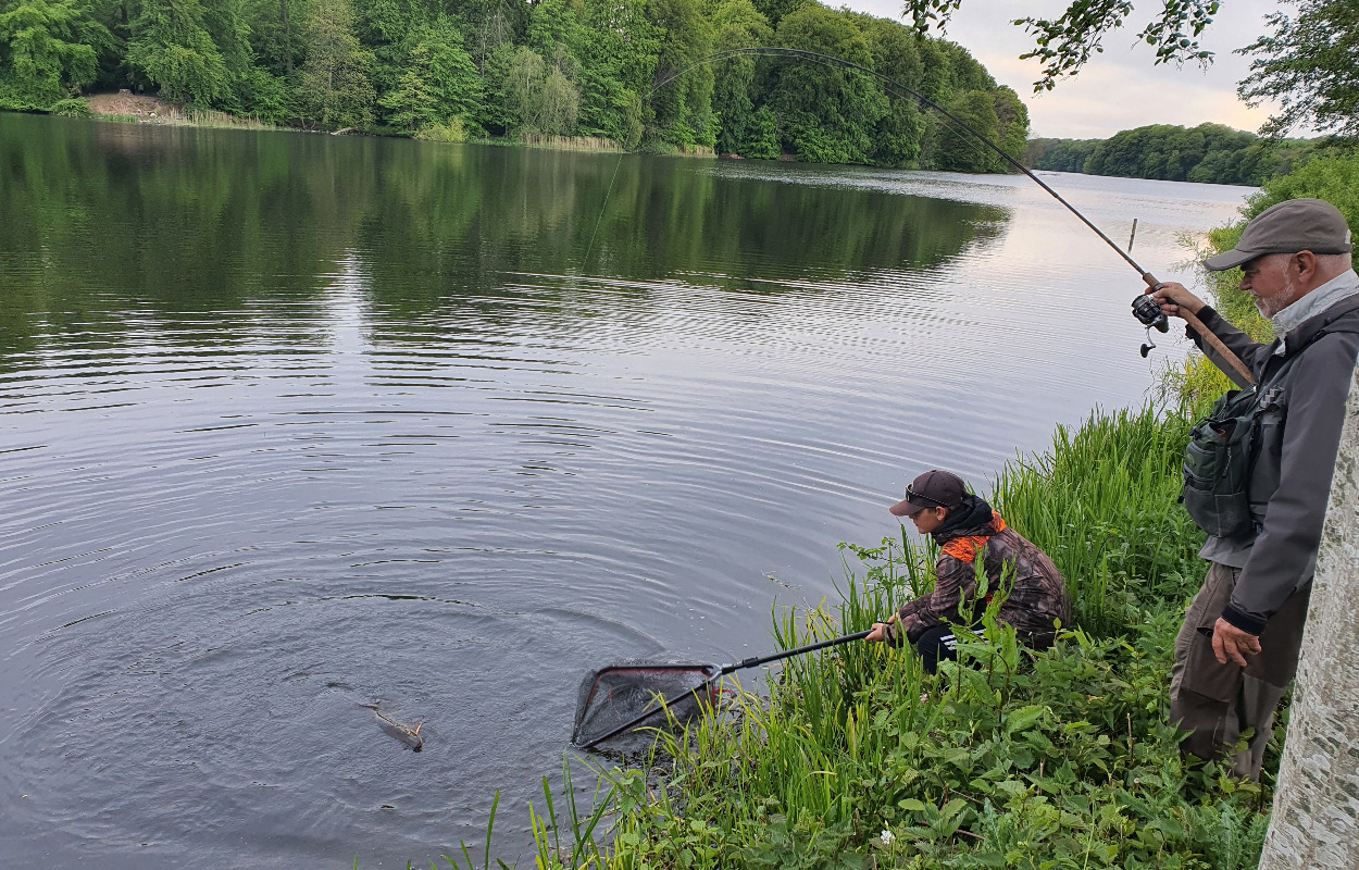 Lystfiskeriets Dag lørdag den 25. maj ved Bygholm Sø i Horsens