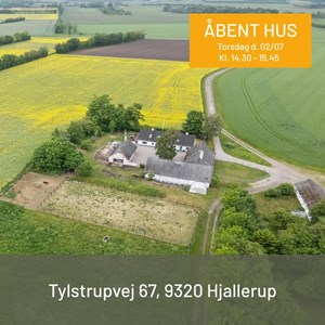 opslagsbillede