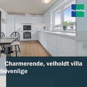 opslagsbillede