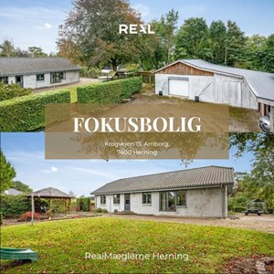 opslagsbillede