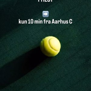 Opslagsbillede
