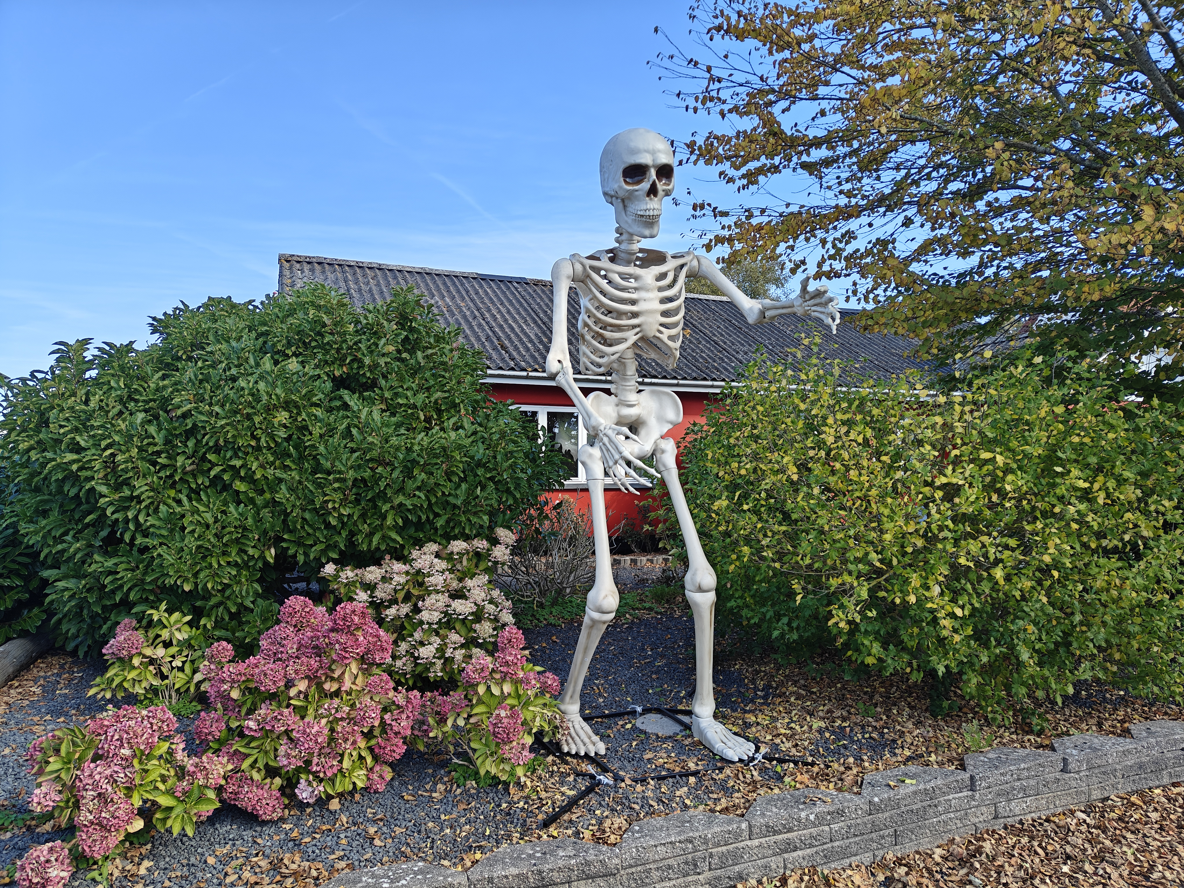 Halloween Haunt 2025 på Lundegårdsvej 7 i Præstø – “Road to Hell”