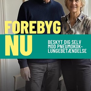 Opslagsbillede