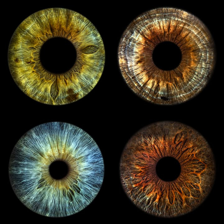 Thiele Optik Silkeborg fremhæver vigtigheden af individuelt tilpassede briller og kontaktlinser