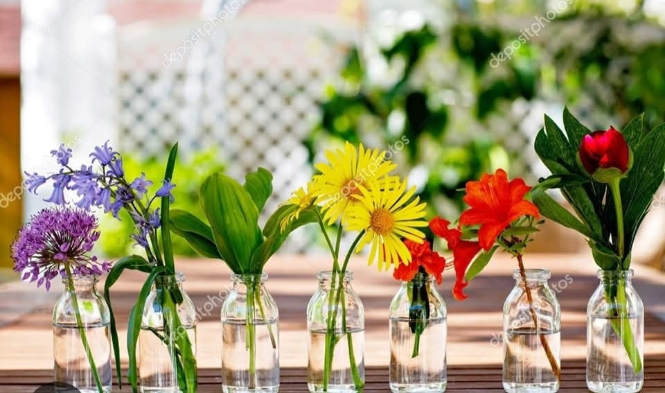 Asmild Plantecenter ApS klar med blomster til konfirmationer og festlige borddekorationer