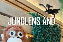 Herning Svømmehal inviterer til temagus med junglens ånd i marts