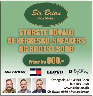 opslagsbillede