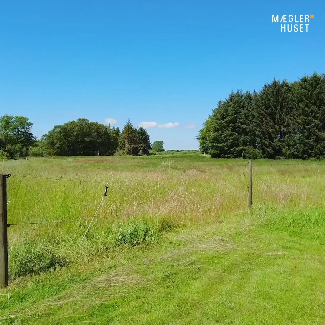 Nyt fra Mæglerhuset