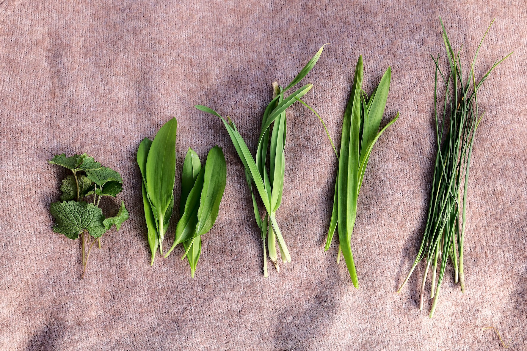 Oplev naturens spisekammer ved Kongsøre strand