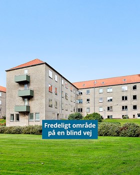 Opslagsbillede