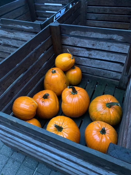 Opdatér dig her: Det nyeste fra Skive