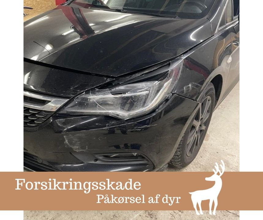 Hold dig ajour med dagens opdateringer fra Sabro