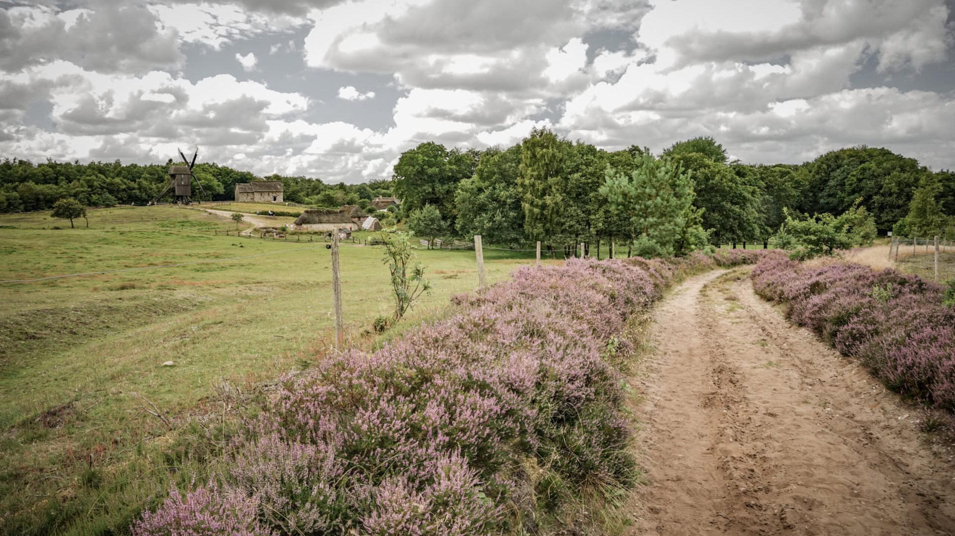 Oplev den åbne hede på en unik hestevognstur, der strækker sig ud over Frilandsmuseet Hjerl Hedes grænser