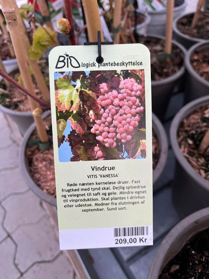 Opslagstavlen: Nyeste opdateringer fra Horsens